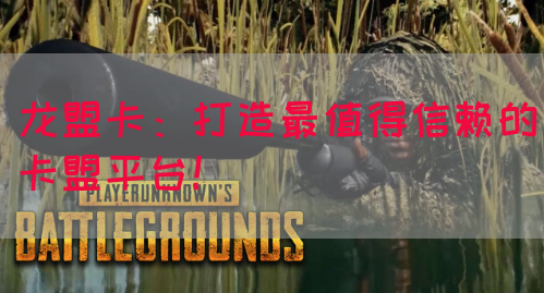 龙盟卡：打造最值得信赖的卡盟平台！