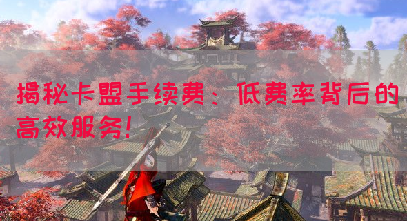揭秘卡盟手续费：低费率背后的高效服务！