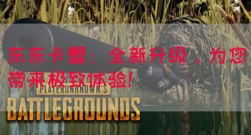 东东卡盟：全新升级，为您带来极致体验！