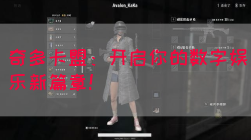 奇多卡盟：开启你的数字娱乐新篇章！