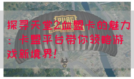 探寻天堂2血盟卡的魅力：卡盟平台带你领略游戏新境界！