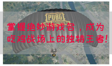 掌握绝妙游戏名，成为吃鸡战场上的独特王者！