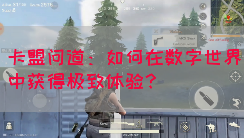 卡盟问道：如何在数字世界中获得极致体验？
