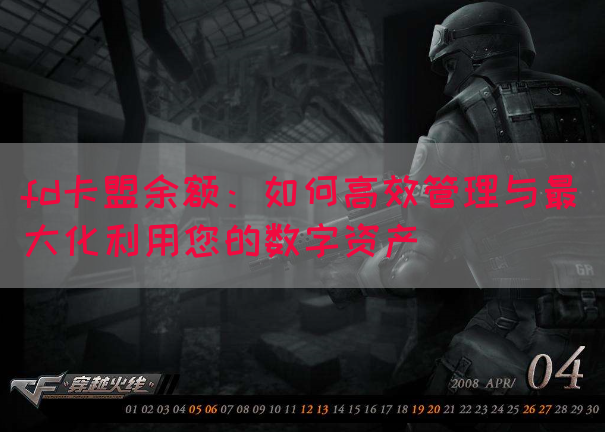 fd卡盟余额：如何高效管理与最大化利用您的数字资产