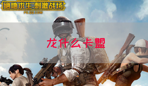 龙什么卡盟