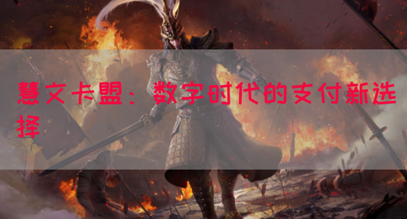 慧文卡盟：数字时代的支付新选择