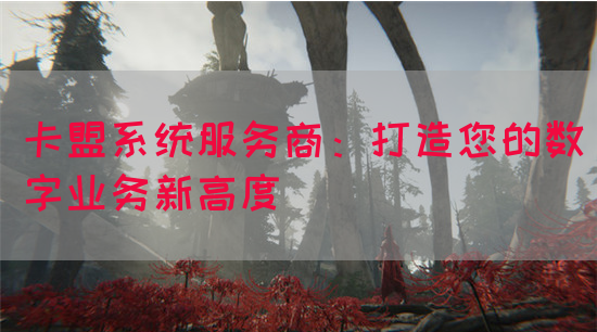 卡盟系统服务商：打造您的数字业务新高度