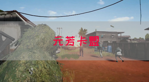 元芳卡盟