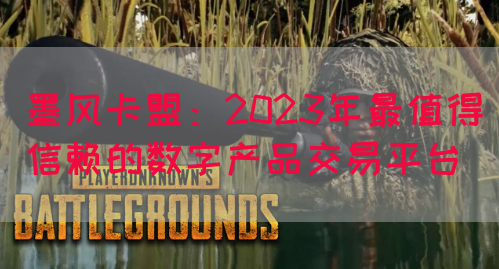 墨风卡盟：2023年最值得信赖的数字产品交易平台