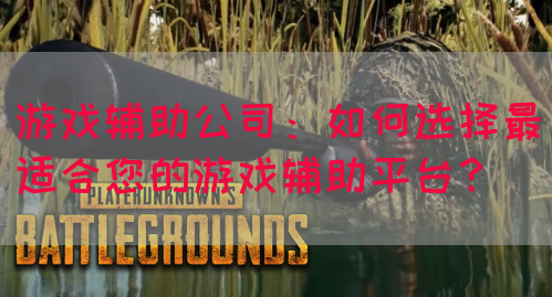 游戏辅助公司：如何选择最适合您的游戏辅助平台？