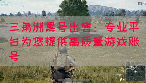 三角洲黑号出售：专业平台为您提供高质量游戏账号