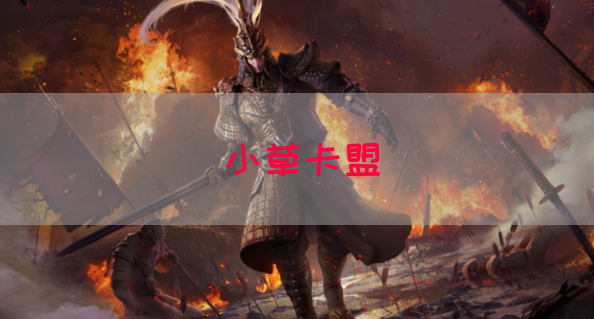 小草卡盟