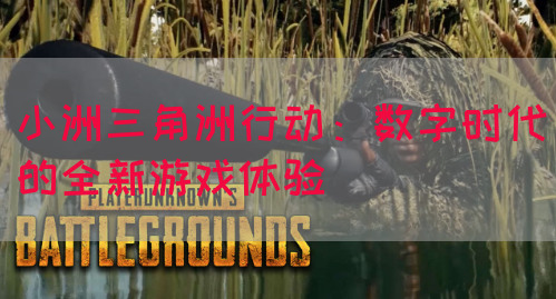 小洲三角洲行动：数字时代的全新游戏体验