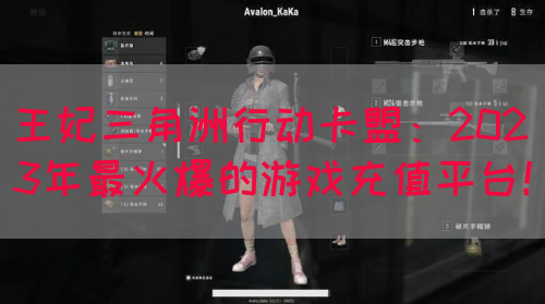 王妃三角洲行动卡盟：2023年最火爆的游戏充值平台！