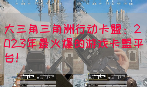 大三角三角洲行动卡盟：2023年最火爆的游戏卡盟平台！