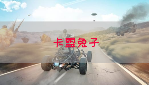卡盟兔子
