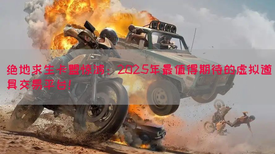 绝地求生卡盟惊鸿：2025年最值得期待的虚拟道具交易平台！