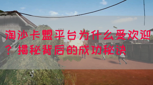 淘沙卡盟平台为什么受欢迎？揭秘背后的成功秘诀